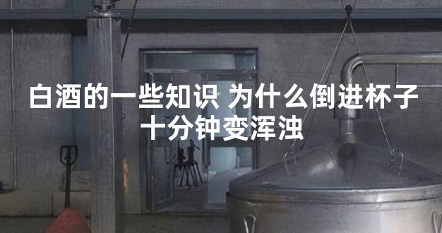 白酒的一些知识 为什么倒进杯子十分钟变浑浊